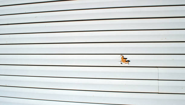Best Custom Siding Design  in Paw Paw Lake, MI