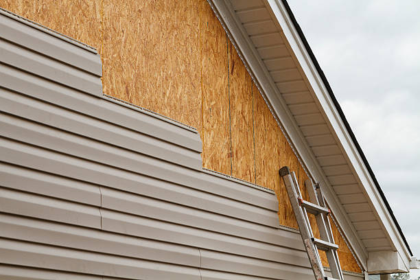 Best Steel Siding Installation  in Paw Paw Lake, MI